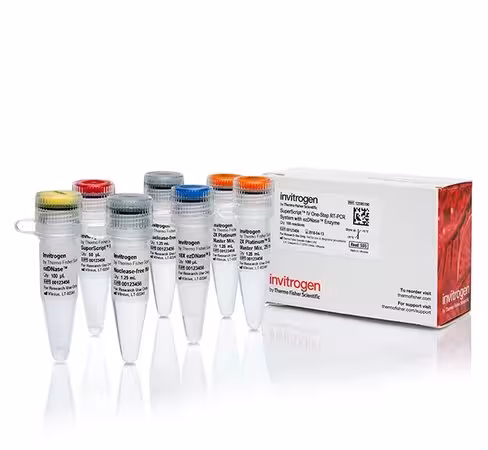 Superscript iv one-step rt-pcr system with ezdnase-100 réactions