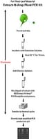 REDExtract-N-Amp Plant PCR Kit, 1 kit