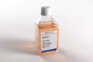 Ham s f12 w/l glutamine 500 mL