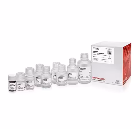 Dynabeads co-immunoprecipitation kit-40 réactions