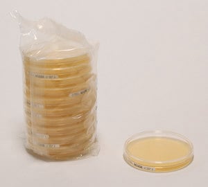 Mrs agar, for microbiology 500 g