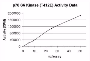 P70 s6 kinase active 10 µg