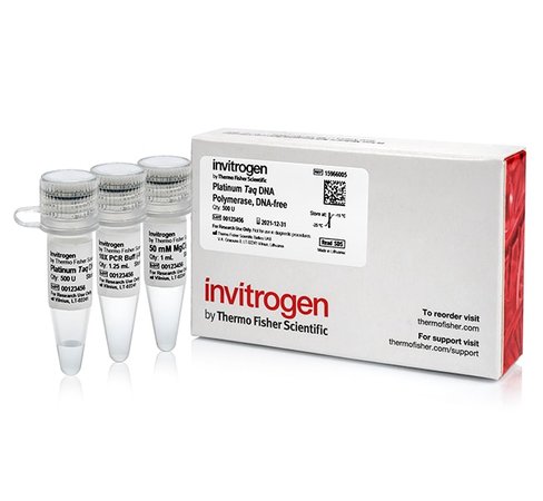 Platinum taq dna polymerase, dna-free-500 u 500 unités
