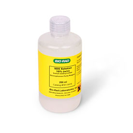 SDS Solution 10% (w/v) 250 ml