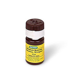 Ethidium Bromide Solution 10 mg/ml 10 ml