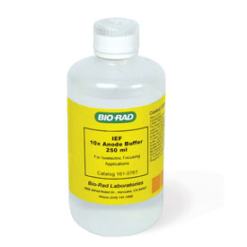 10x IEF Anode Buffer 250 ml