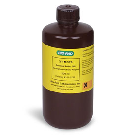 XT MOPS Running Buffer 500 ml