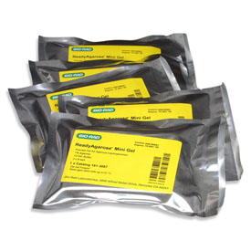 Mini ReadyAgarose Gel TAE 1.0% 2 x 8-well 1 pcs