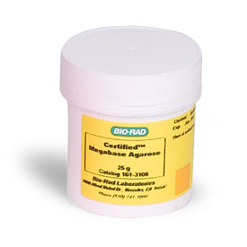 Certified Megabase Agarose 25 g