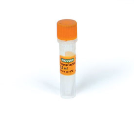 Transfectin lipid reagent 0.5 ml