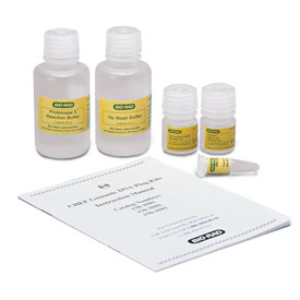 CHEF Yeast Genomic DNA Plug Kit