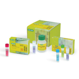 ITaq DNA Polymerase 250 U 1 Kit