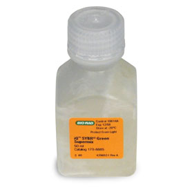IQ SYBR Green Supermix 2000 x 50 µl reactions 50 ml bottle 1 Kit