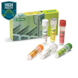 IScript Select cDNA Synthesis 25 x 20 µl reactions 1 Kit