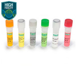 IScript Select cDNA Synthesis 100 x 20 µl reactions 1 Kit