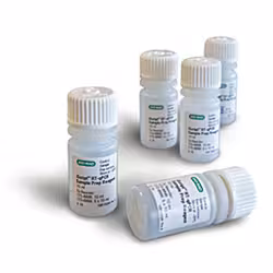 IScript RT-qPCR Sample Prep Buffer 10 ml