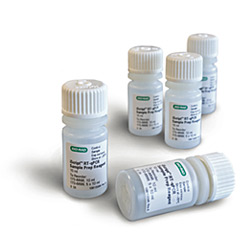 Iscript rt-qpcr sample prep buffer 5 x 10 ml