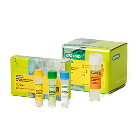 Sequoia ribodepletion kit 24 reactions 1 pcs