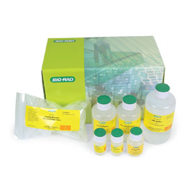 Bio-Plex Amine Coupling Kit