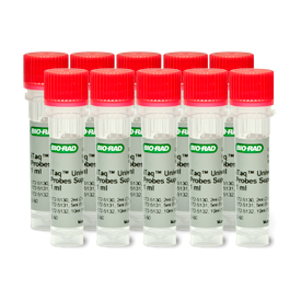 ITaq Universal Probes Supermix 1000 Rx 10 mL