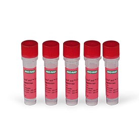 SsoFast Eva Green Supermix 500 x 20 µl reactions 1 Kit