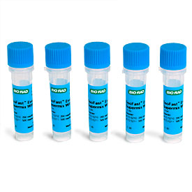 SsoFast Eva Green Low Rox 500 x 20µl reactions 1 Kit