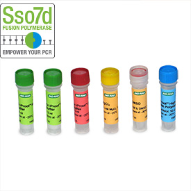 IProof High-Fidelity DNA Polymerase 100 U 1 pcs