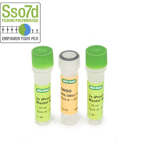 IProof HF Master Mix 100 x 50 µl reactions 1 pcs