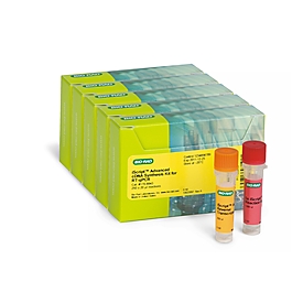 Iscript advanced cdna synthesis 500 x 20 µl rxns 1 Kit