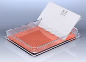 Cell Comb Scratch Assay, 1 kit