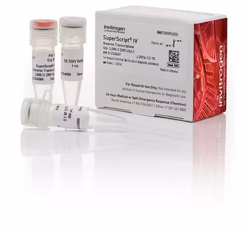 Superscript iv reverse transcriptase 10000 unités