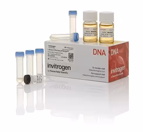 Library efficiency dh5a competent cells-5 x 200 µL