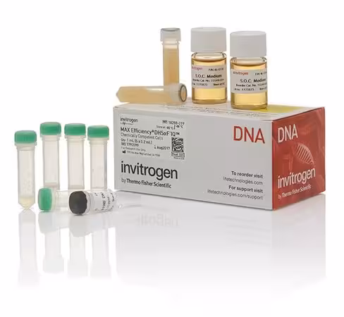 Max efficiency dh5af'iq competent cells-5 x 200 µL