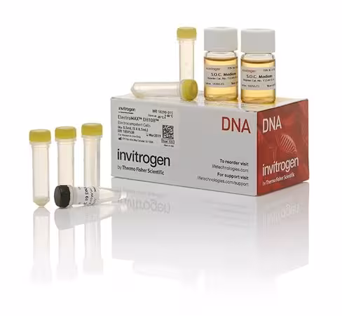 Electromax dh10b cells-5 x 100 µL