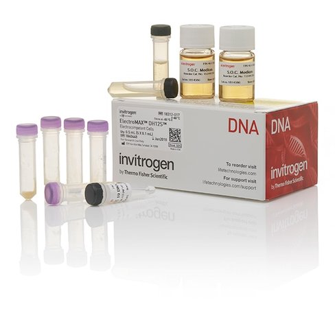 Electromax dh12s cells-5 x 100 µL