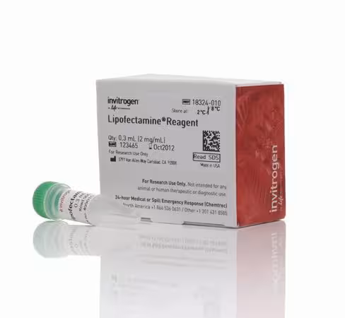 Lipofectamine transfection reagent-0.3 ml