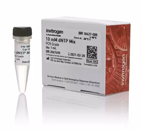 Dntp mix (10 mm ea)-5 x 1 ml
