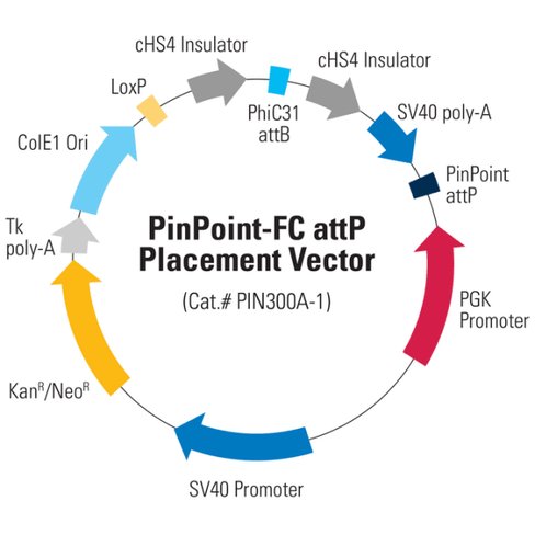 Pinpoint-fc attp placement vector10 µg 10 µg