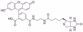 Biotin-4-Fluorescein, 5 mg