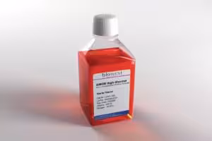 Dmem high glucose w/ l-glutamine w/ sodium pyruvate 1 kit 500 mL