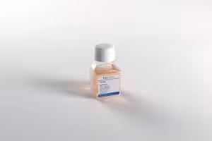 Accustase 100 mL