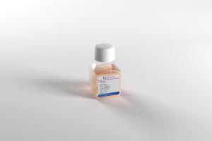 Accustase 100 mL