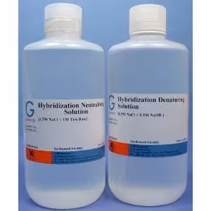 Solution denhardt [100x] 50 mL