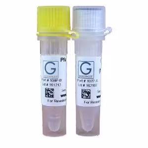 Pfu polymerase 500 unités