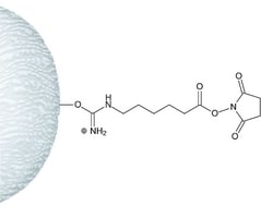 N-hydroxysuccinimide-activated sepharose 15ml 15 ml