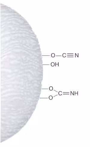 Cyanogen bromide-activated sepharose 4b 1 g