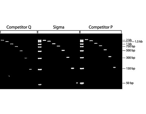 Genelute gel extraction kit 1 kit