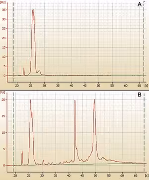 Mirpremier microrna isolation kit 1 kit