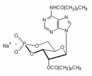 Adenosine 3 ,5 -cyclic monop 25 mg