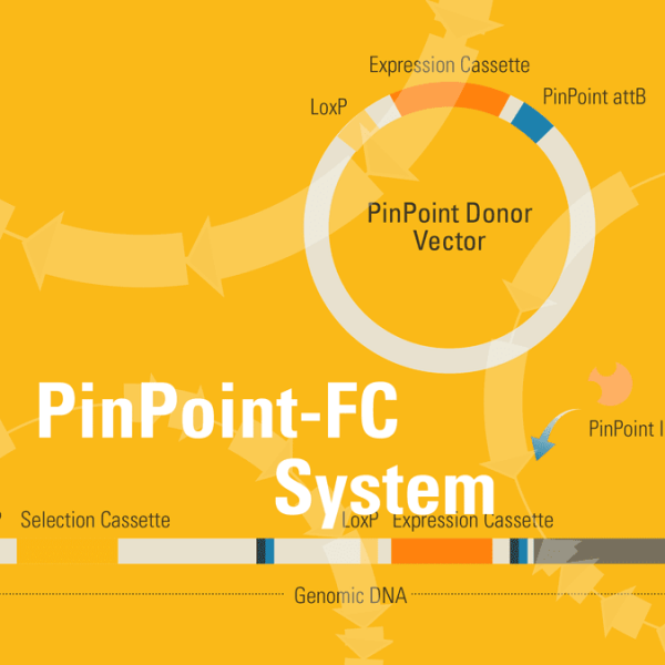 Pinpoint-fc system for platform cell line generation retargeting 1 kit